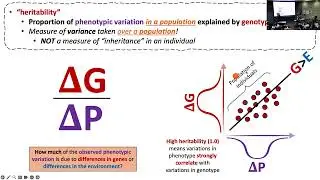 BIO 331: Lecture B3 (2024-09-10): Quantitative Methods in Behavioral Genetics