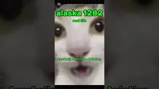 plane crash in 2024 animation vs real life