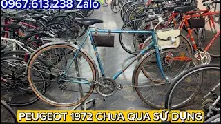 Peugeot 1972 nhập pháp chưa qua sử dụng/ panasonic 1973 chưa qua sử dụng/lh 0967.613.238 Zalo