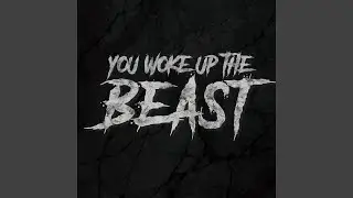 You Woke Up The Beast