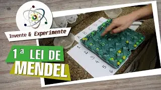 1ª Lei de Mendel - A caixa de ovos de Mendel