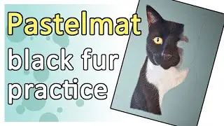 BLACK FUR with COLOURED PENCIL - Drawing a black and white cat on Clairefontaine Pastelmat paper