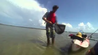 Whiting Fishing At Inskip Point