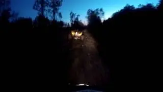 adly 500 Suzuki 400 night drive 1
