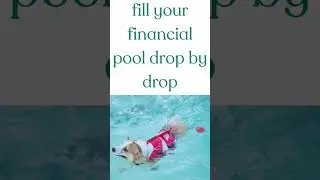 DRIP Demystifying Dividend Investing Part 10 #dividends #stock #investing #dividendinvesting