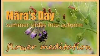 Breezy Flowers + Bees for Māra's Day: Pagan Calendars