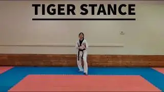 Tiger Stance-Beom Seogi