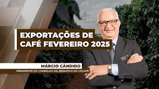 Café brasileiro deve voltar a ser mais competitivo com a entrada da nova safra