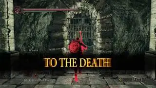(PS4 DS2) Kinda Like a Bridge Buddy