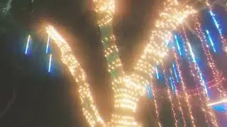 ART IN A CHRISTMAS/NEW YEAR EVENT