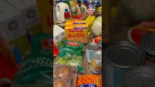 PT2.ALWAYS OVER BUDGET😩 #food #shopping #foryou #explore #haul #sahm #shorts #fyp