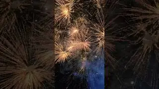 blast in rajampeta Dasara festival 🎎 #crackers #fireworks #dasarafestival #dasara #hindufestival