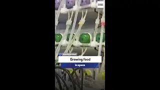 Growing food in space
