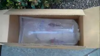 Transporting Koi in bags.