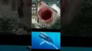 megaledon Vs blue whale #animals #fish #shark #whale #shorts