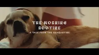 Morning Routine - A Tale from the Quarantine | Shot on Zeiss Jena Zebra & Lumix GH5