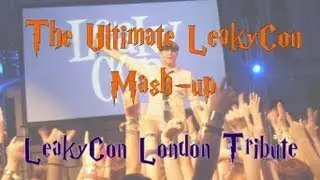 The Ultimate LeakyCon mash-up - My cover/tribute to LeakyCon London 2013