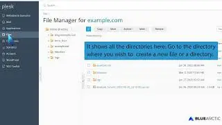 How to create a new directory or files in Plesk File Manager   BLUE ARCTIC