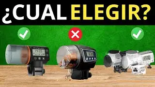 🥇Los 5 Mejores COMEDEROS AUTOMÁTICOS Para PECES 2024 [Calidad precio]