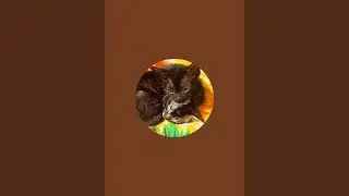 Love Bird Life Rescue is live