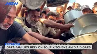 Gaza families rely on soup kitchens amid aid gaps