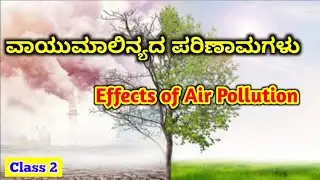Effects of Air Pollution | ವಾಯುಮಾಲಿನ್ಯದ ಪರಿಣಾಮಗಳು | Class 2