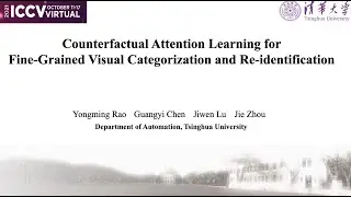 Counterfactual Attention Learning forFine-Grained Visual Categorization and Re-identification