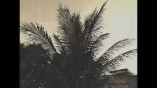 Analog Culture Film  Super 8mm