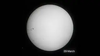 live Sunspots day by day  from the telescope for 1 week #2024  #astronomy #sun #sunspots #telescope