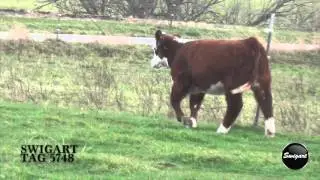 Swigart Tag 5748