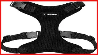Best Pet Supplies Voyager Step In Lock Pet Harness