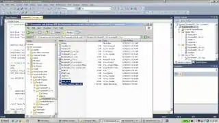 Sentinel Support - How to use Sentinel HASP C Runtime API