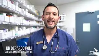 Emergency & Critical Care - Accelerated Learning