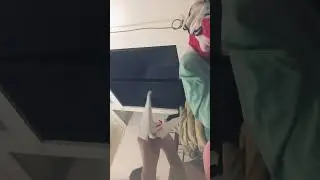 Dragon puppet