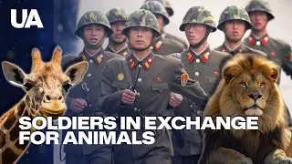 North Korea&rsquo;s Military Support to Russia Reaches New Levels
