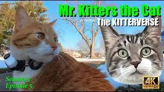 Mr. Kitters Kitterverse! Say Goodbye to all the Snow!!! 📣🐈  Season 3 Episode 5