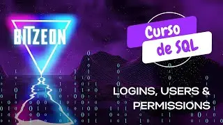 Conection, login, users, roles, permissions