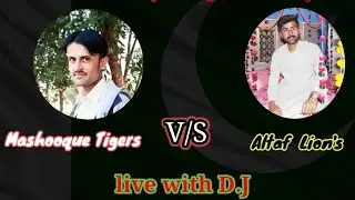 Indoor cricket stadium with UPL 1st match Mashooque tigers Vs Altaf lion's #upl #league#cricket 
