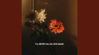 I'll Never Fall in Love Again