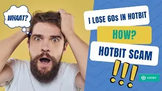 Story Of Hotbit Scam