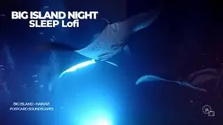 Big Island Night 🌌 | Manta Rays + Kīlauea Glow (Inspired) — Sleep LoFi Soundscape