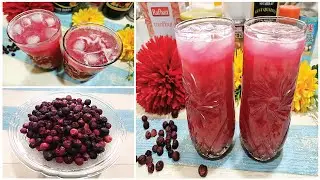 Falsa Juice Recipe | Refreshing Falsa Sharbat Recipe | Thrilling Recipe