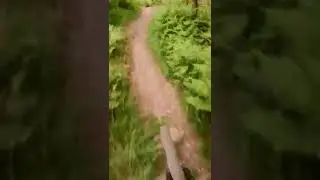 Cannock  chase - Stile cop - New line reopened  top section