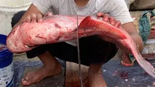 I never seen ll giant Pangash fish cutting live skills by expert fish cutter in Fishmarket 