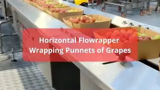 Redpack Horizontal Flowrapper Wrapping Punnets of Grapes