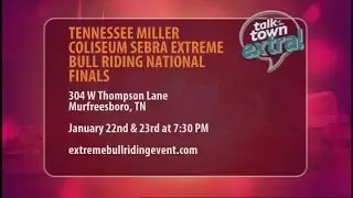SEBRA Extreme Bull Riding Association