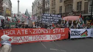 The Surge &ndash; birth of a global grassroots intersectional movement