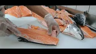 How to fillet salmon | Slicing | Filleting  | Knife skills |  cutting | Butchering  | Fish | fillet