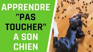 Apprendre le 