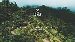Roark: The Blue Mountain Rise - Fine Jamaican Coffee